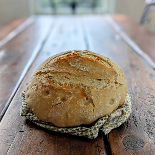 soft honey sourdough bread with milk