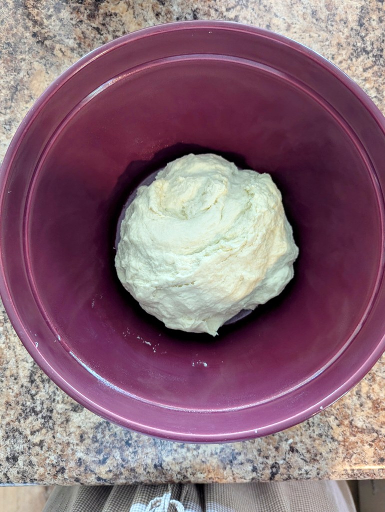 sourdough naan