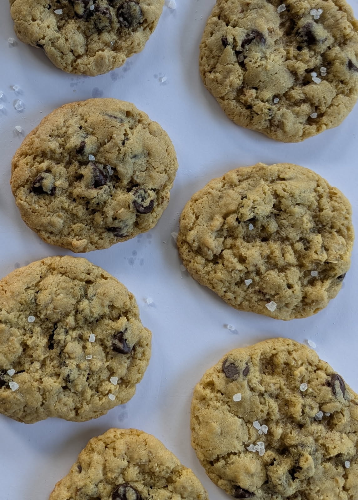 Sourdough Oatmeal Cookies