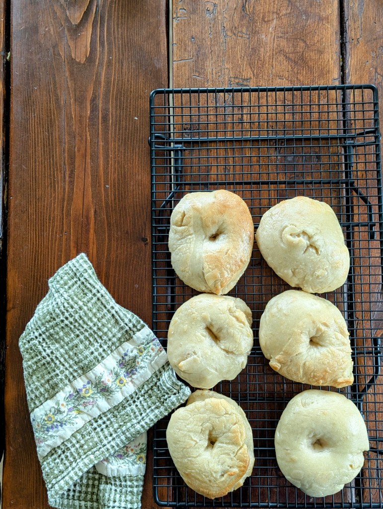 Easy sourdough bagels recipe for beginners