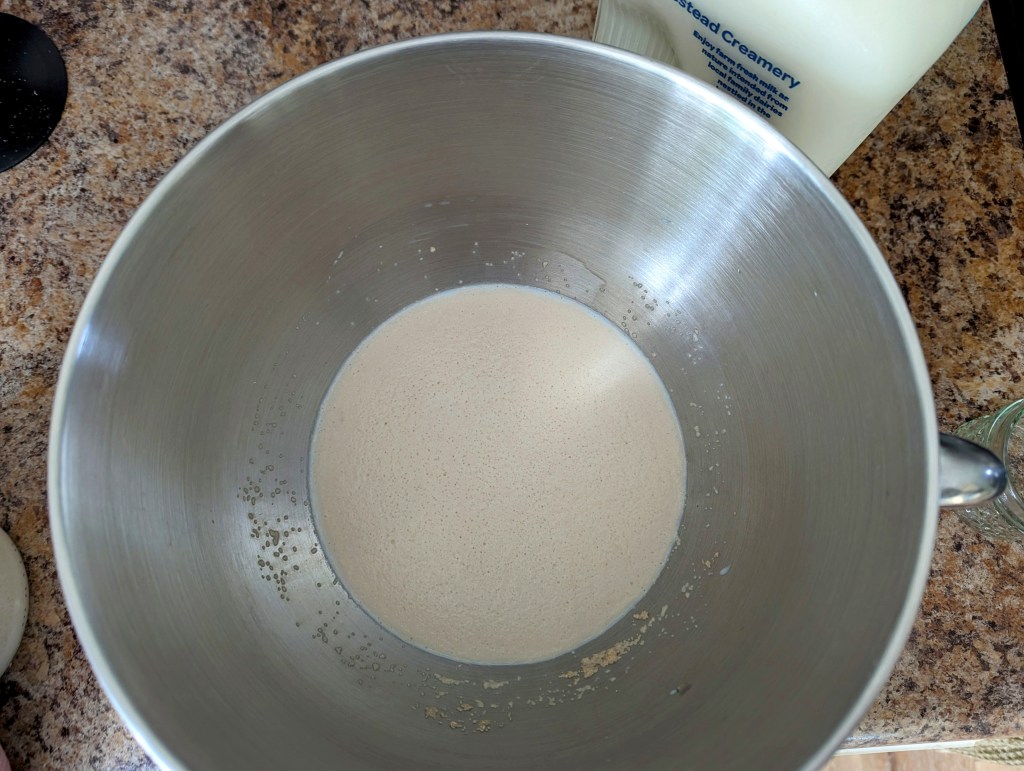 activating yeast for sourdough discard buns