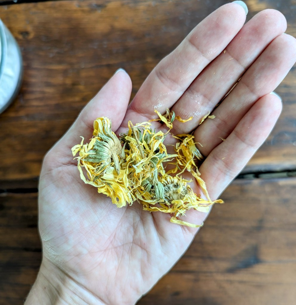 Calendulat flowers for natural baby powder before grinding