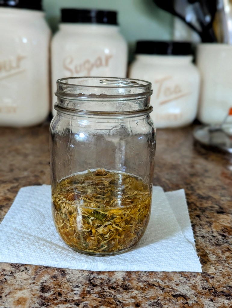 Dried calendula flowers covered with coconut oil and beef tallow