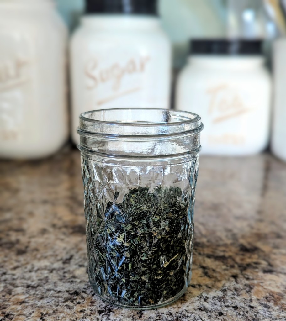 Dried nettle in glass jar for nettle oil