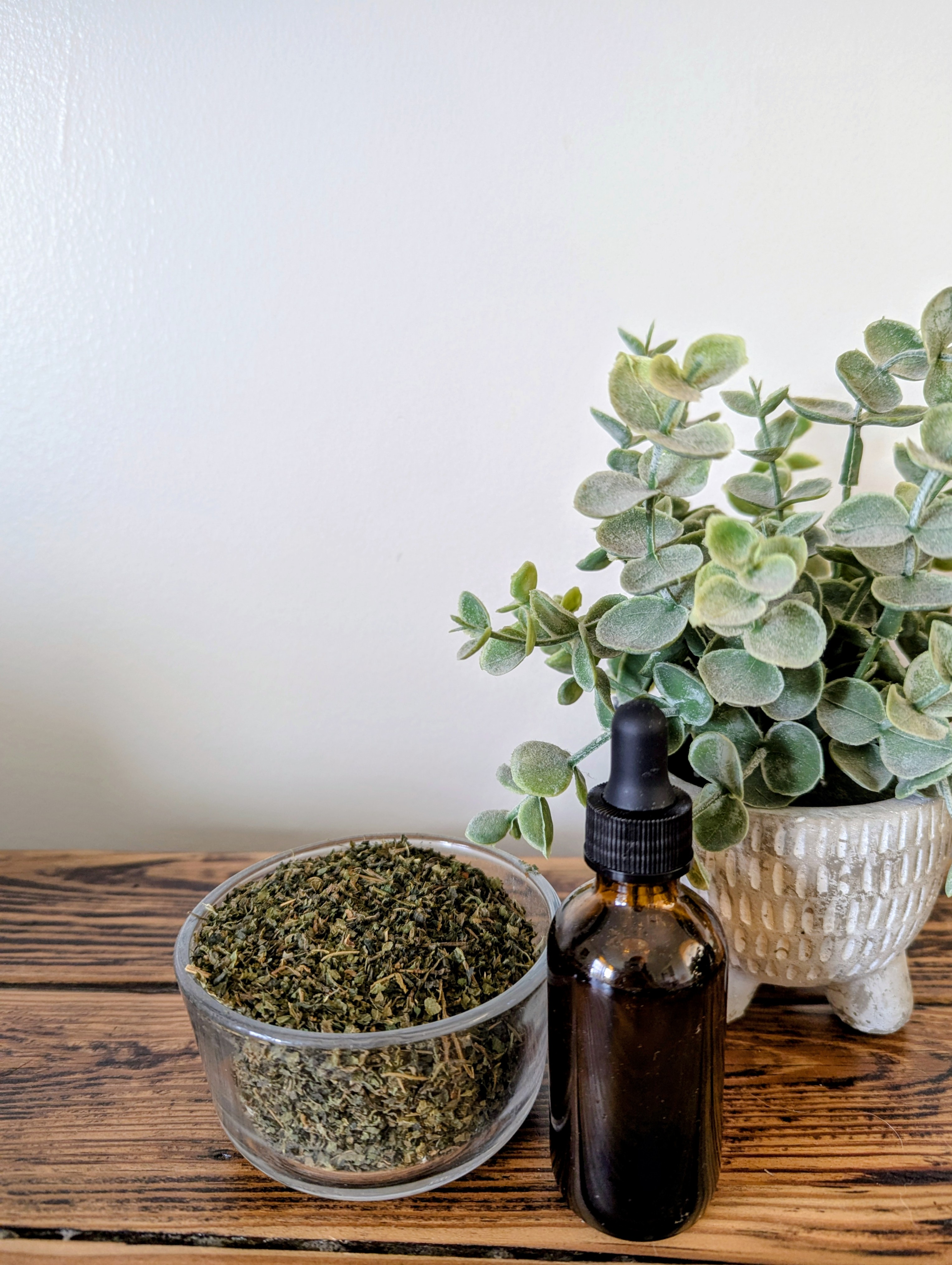 Nettle Oil : Benefits + How to make it at Home