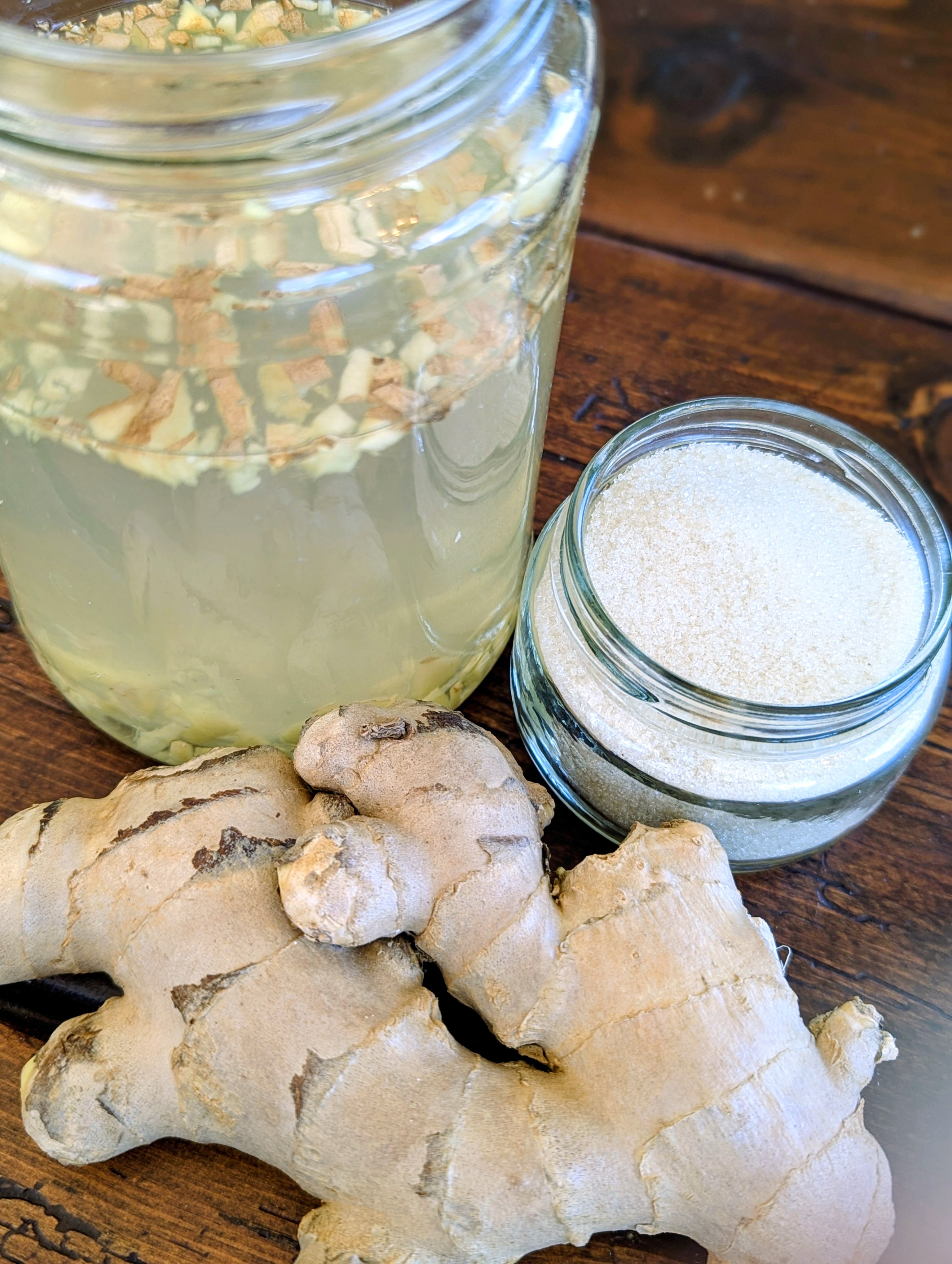 Ginger Bug Recipe (For Homemade Sodas + Fermented Drinks)