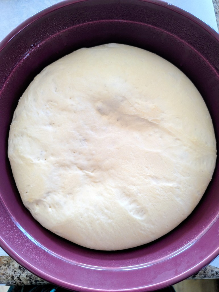 Sourdough French bread dough after bulk ferment