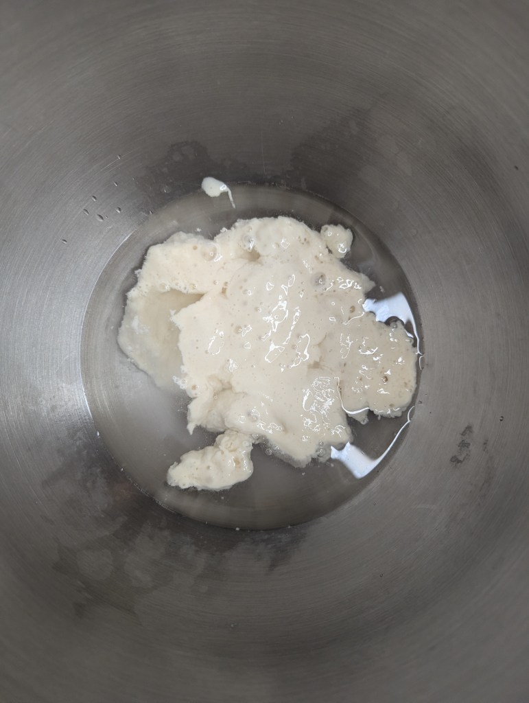 Sourdough starter and water for sourdough pretzels