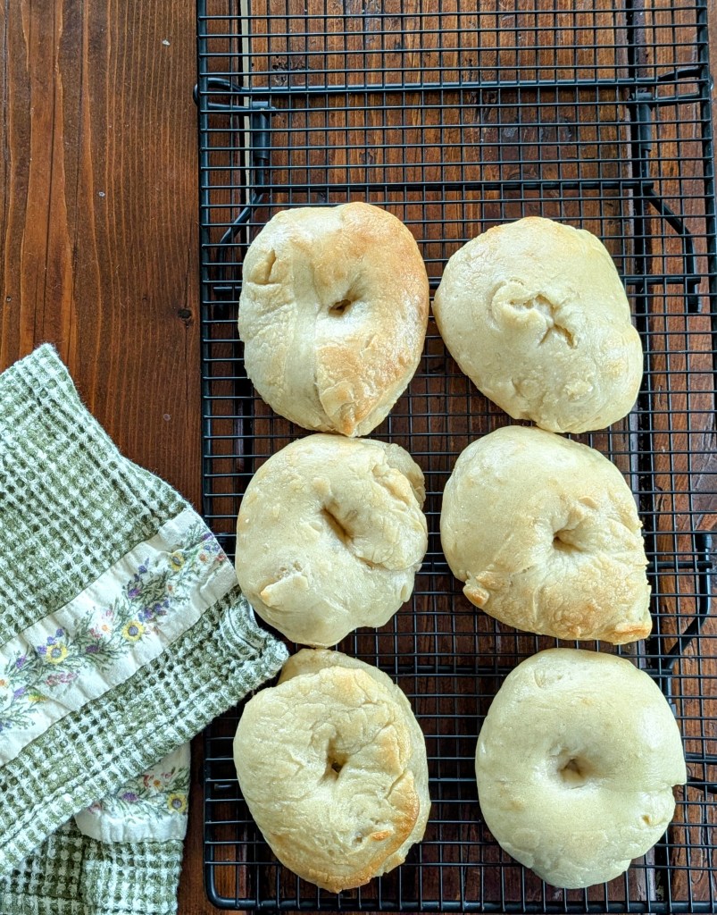 Sourdough bagels on a wire rack