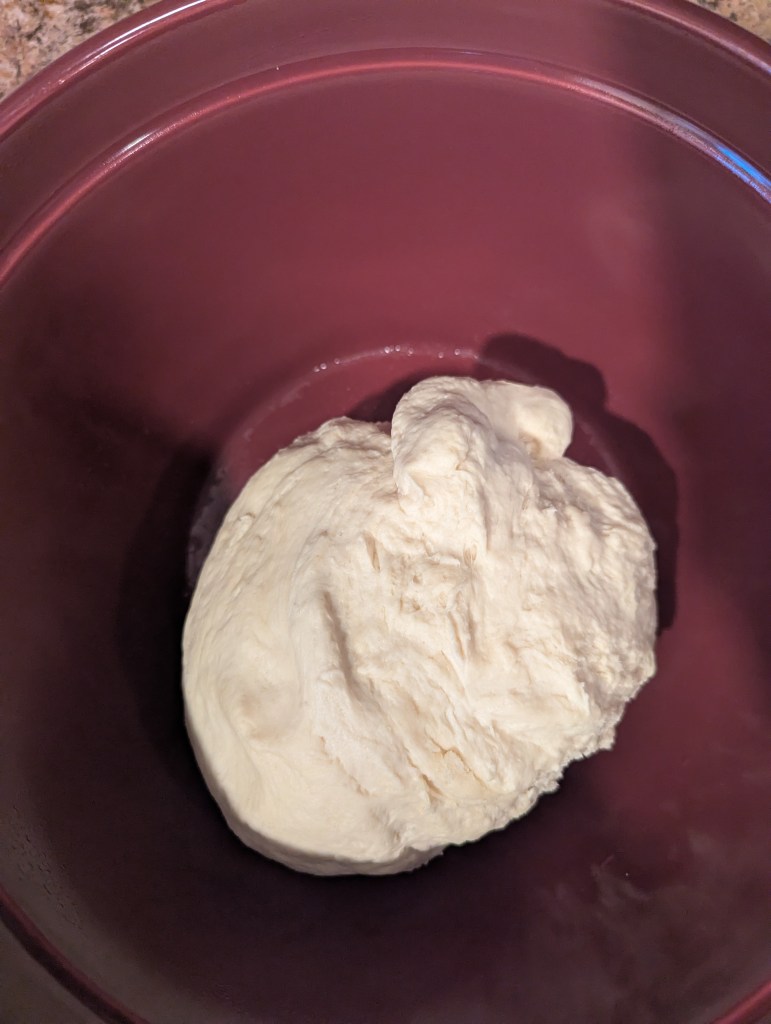 Sourdough discard bagels before first rise