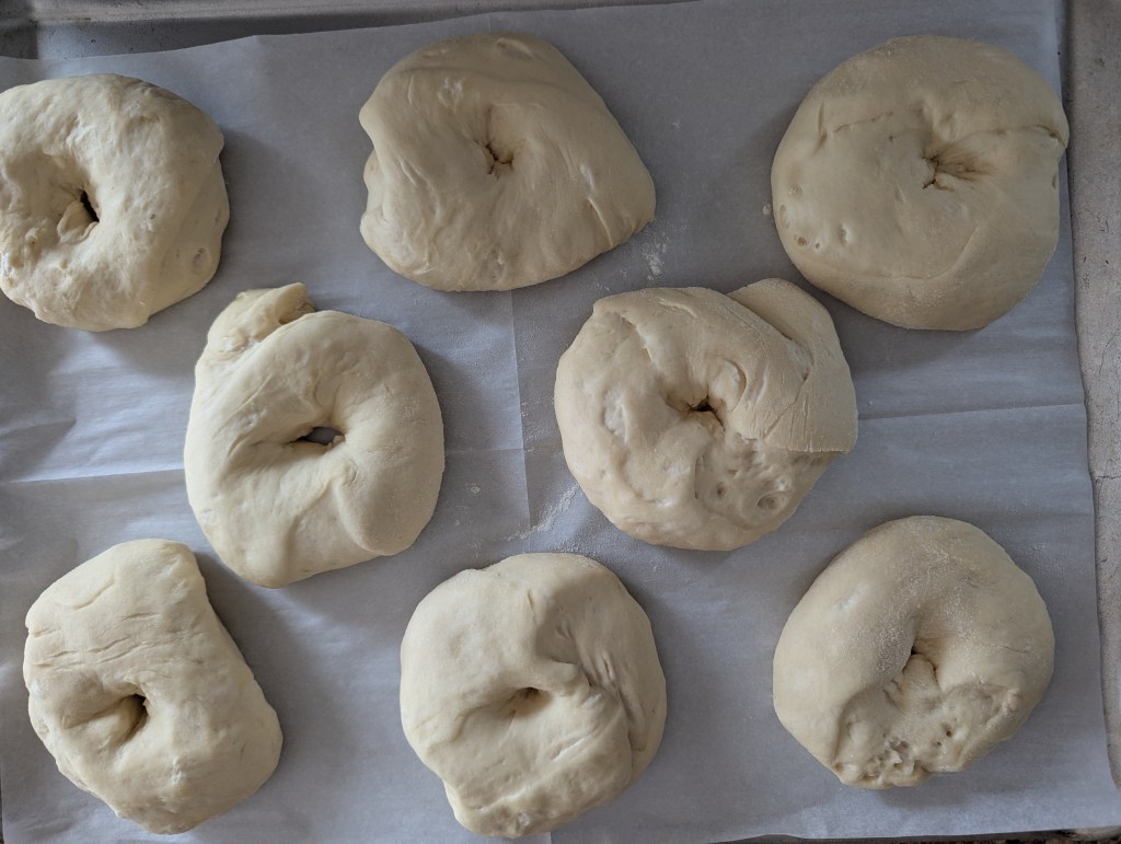 Sourdough discard bagels before second rise