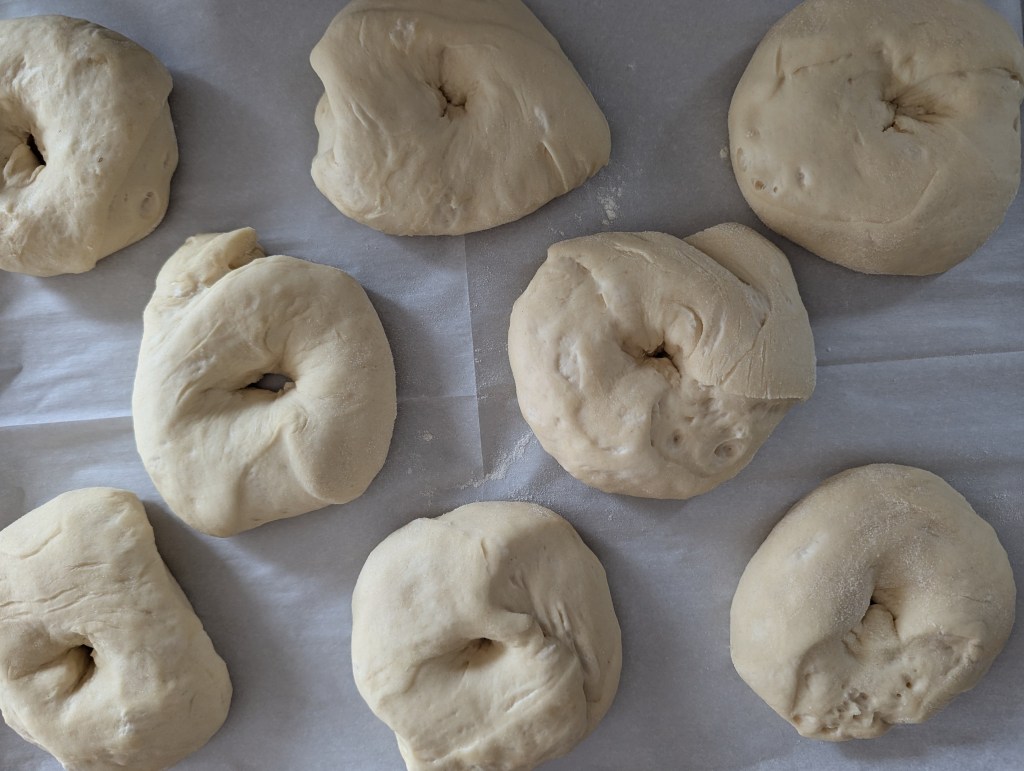 sourdough discard bagels after second rise