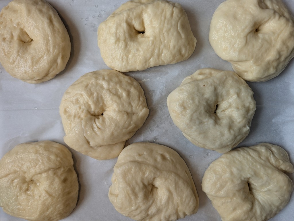sourdough discard bagels after
boiling