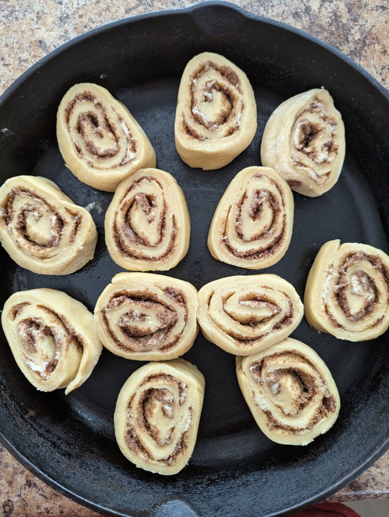 Sourdough discard cinnamon rolls before baking