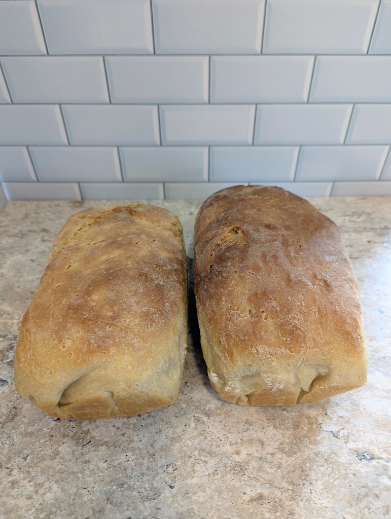 Golden sourdough sandwich bread after baking