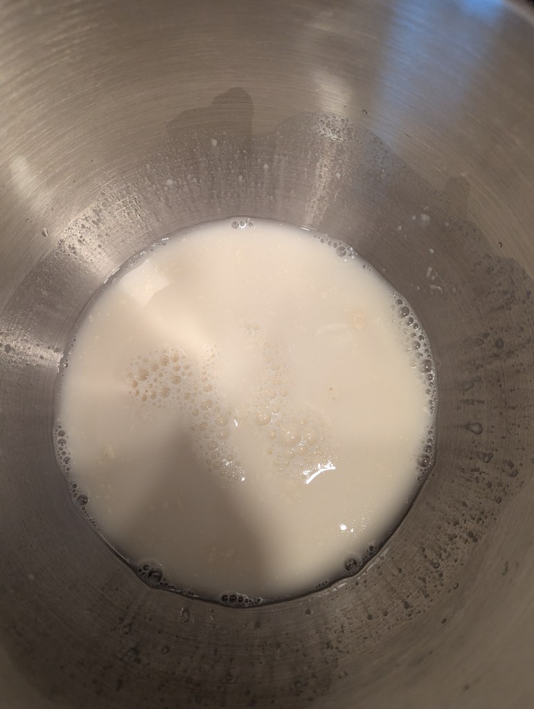Combining sourdough starter and water for sourdough focaccia recipe