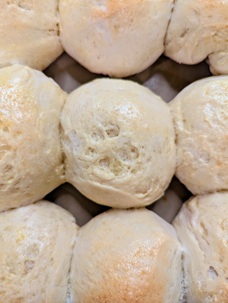 Aerial shot of sourdough discard rolls
