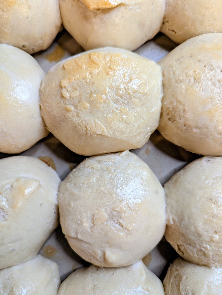 Golden sourdough dinner rolls after baking