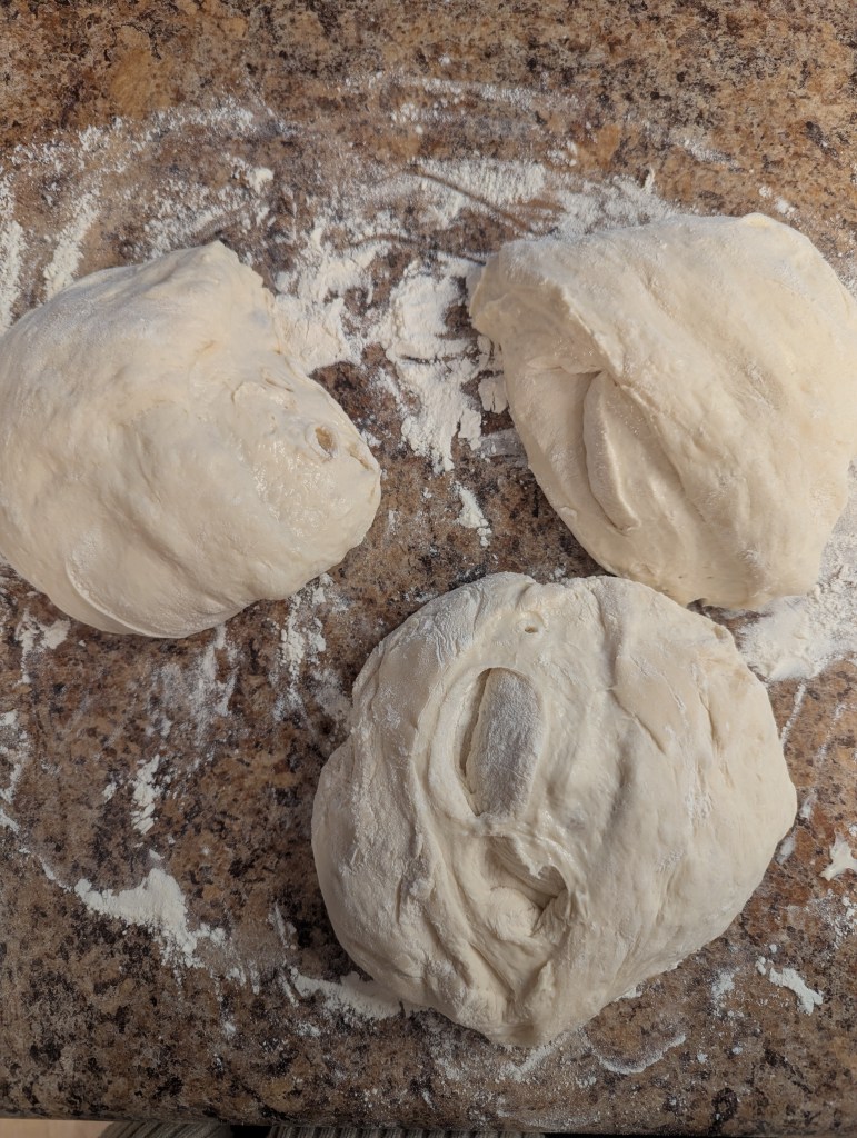 Divided sourdough baguette dough before final proof