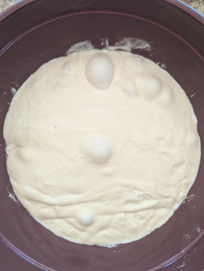 bubbly sourdough ciabatta dough after bulk ferment