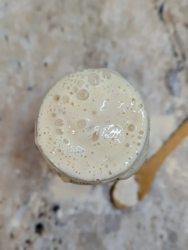 Why Is My Sourdough Starter Not Rising? (8 Common Problems+ Fixes)