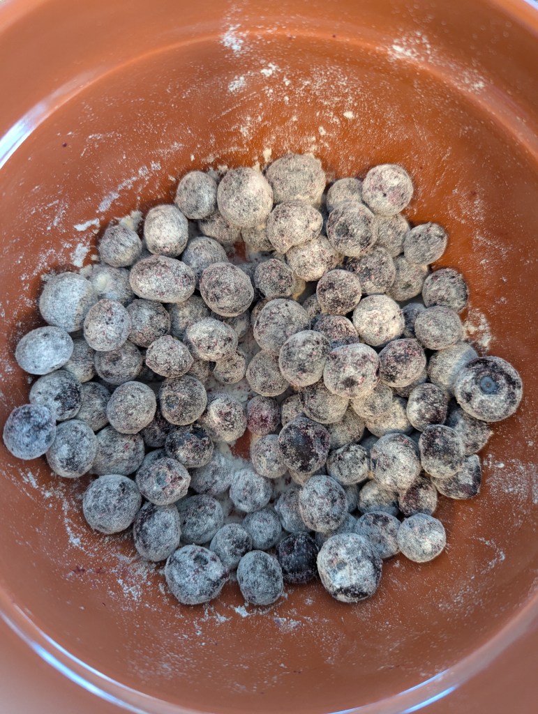 Tossing blueberries with flour for sourdough blueberry muffins