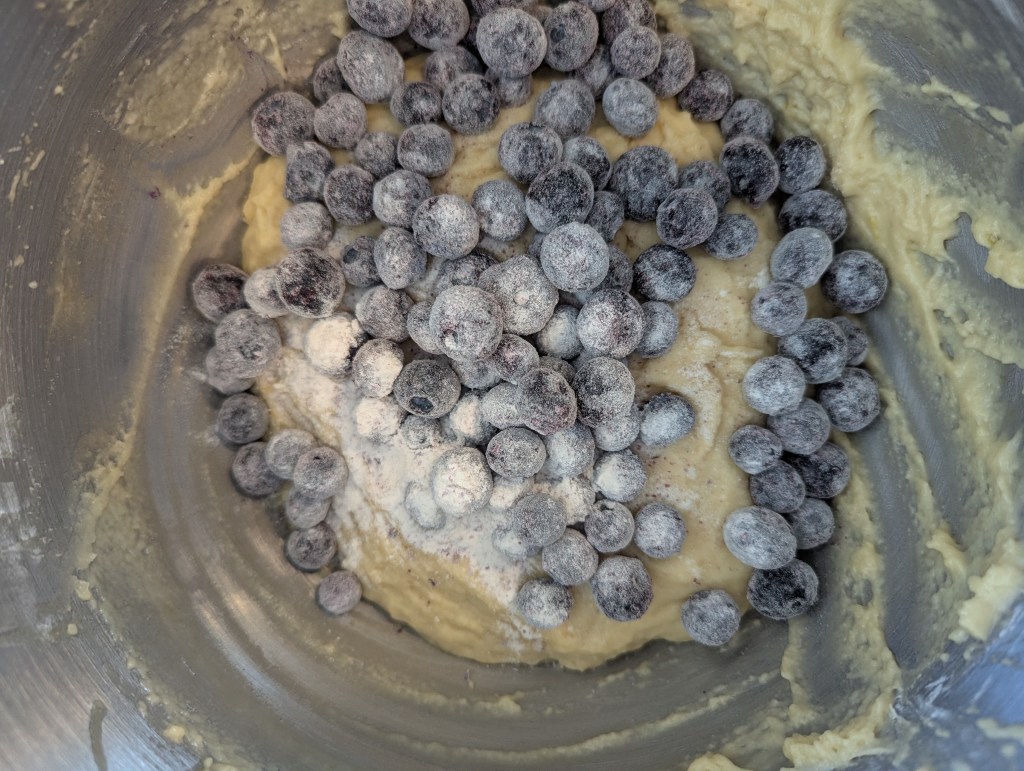 Adding blueberries to sourdough discard blueberry muffins