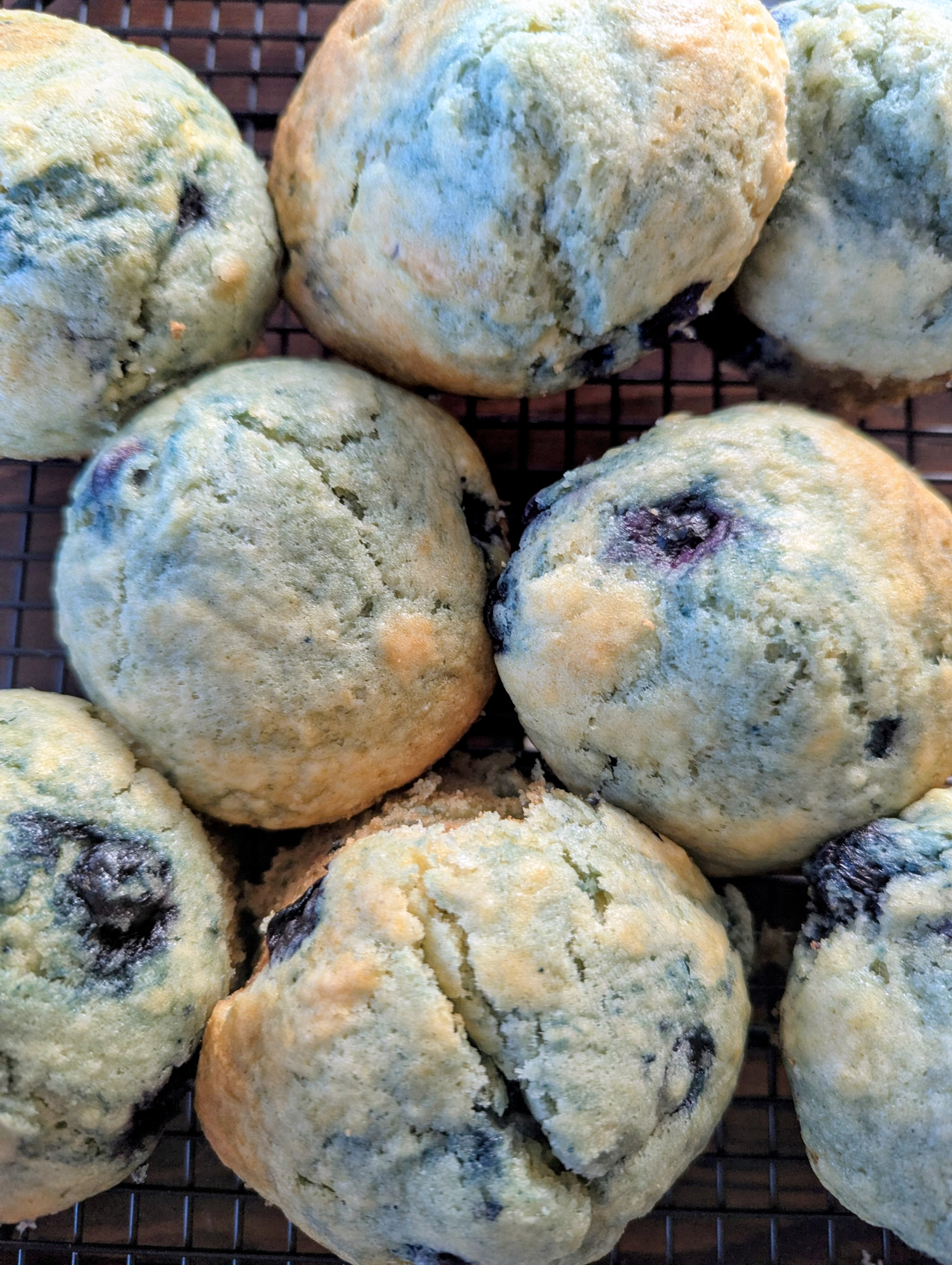 Sourdough Discard Blueberry Muffins