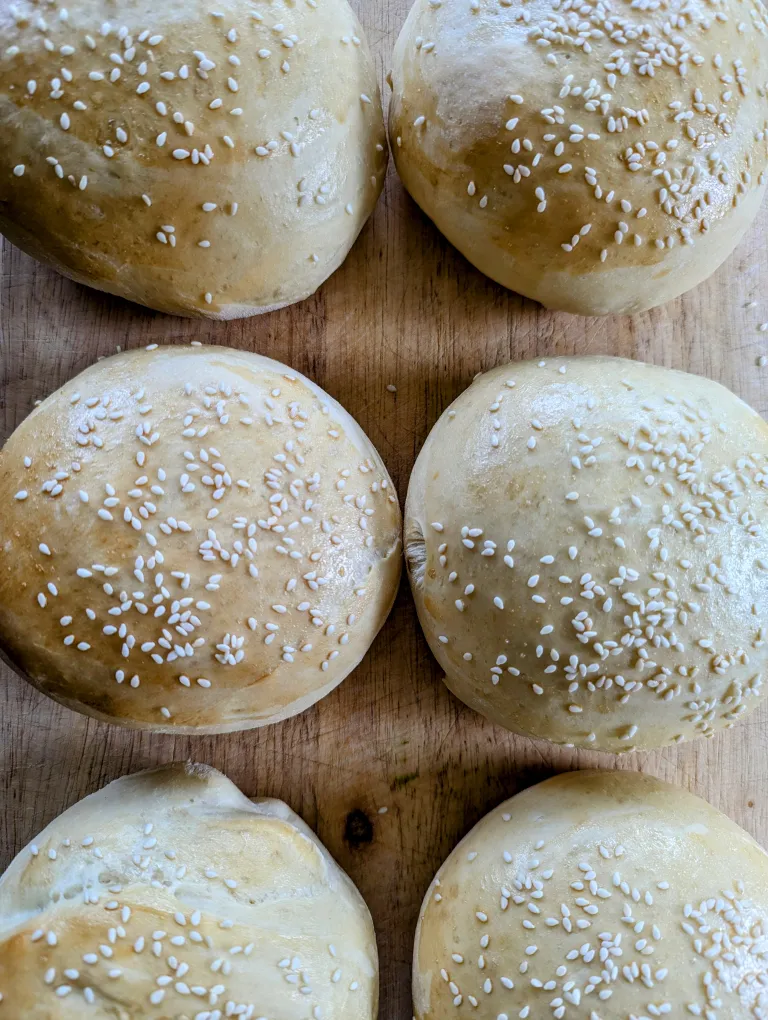 Aerial shot of sourdough hamburger buns