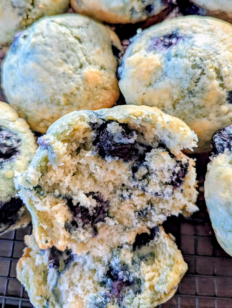 Sourdough discard blueberry muffins on a wire rack