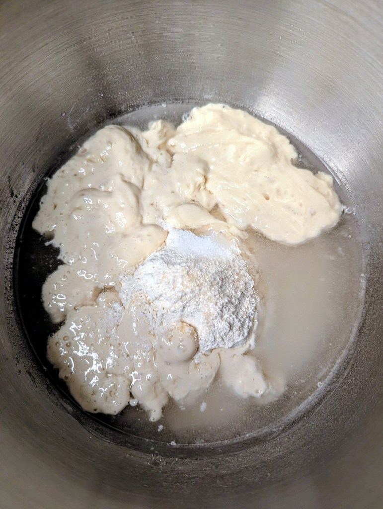 Ingredients for sourdough English muffins before mixing