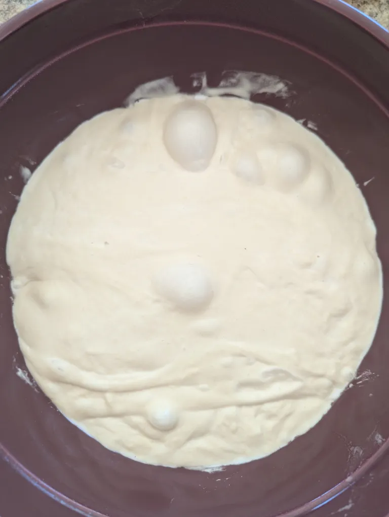 Aerial shot of perfectly fermented sourdough that won't be sticky