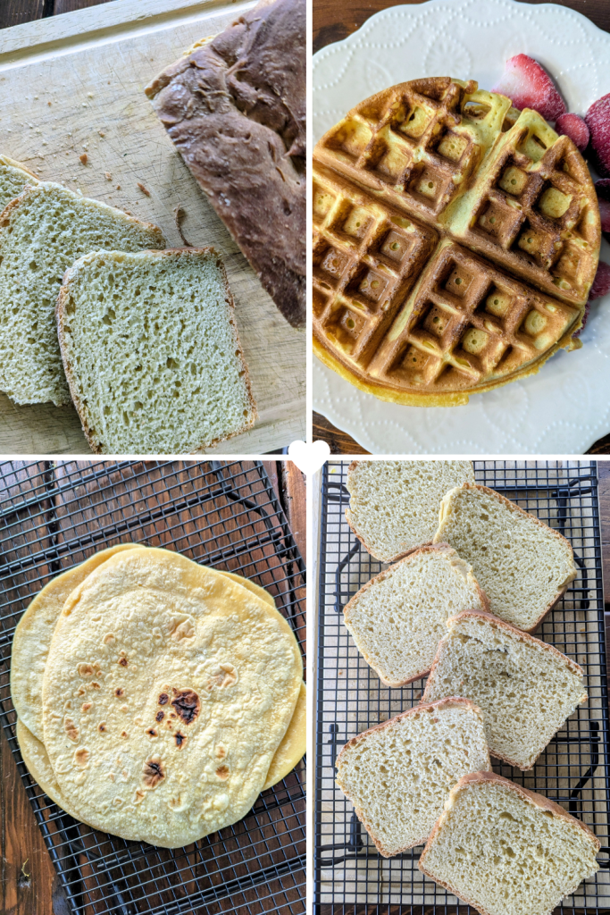 Collage of einkorn flour recipes including bread, waffles, tortillas
