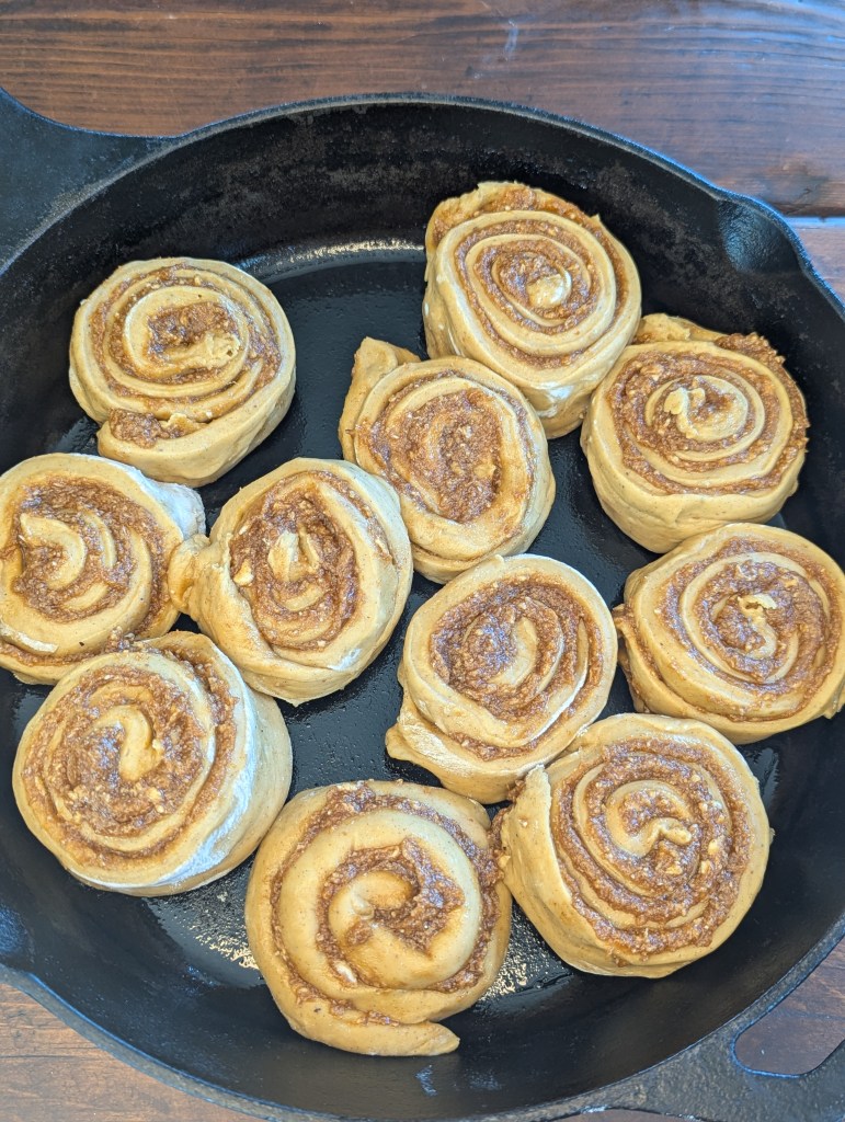 Sourdough pumpkin cinnamon rolls before baking